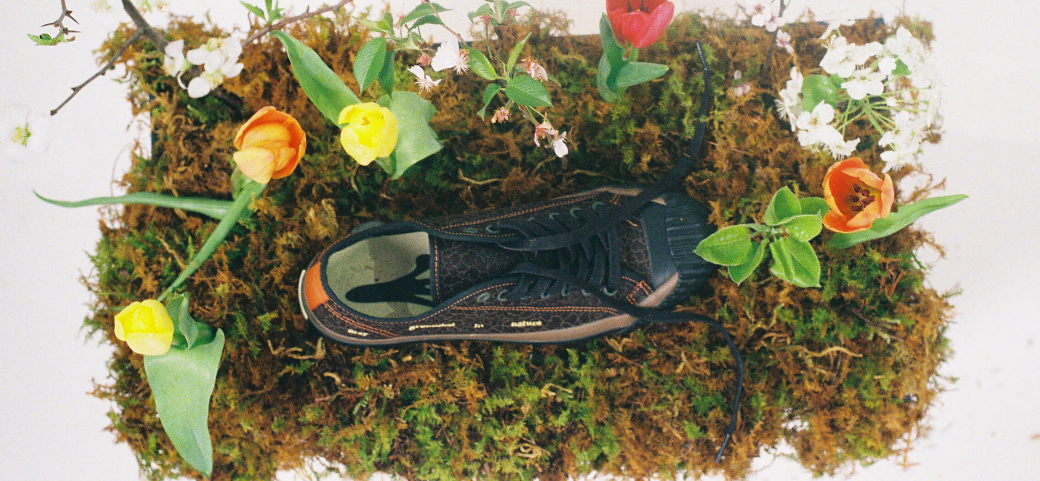 Brown low-top sneaker on a bed of moss with colorful flowers.